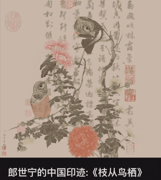 ▲3D类型的数字藏品
