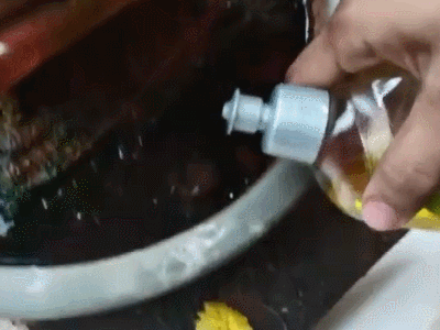 在花盆积水里加入洗洁精除蚊子。蚊子幼虫可以在很小的水域里生存,注意红箭头旁边翻动的小东西。图片:Vishal Nayak / youtube