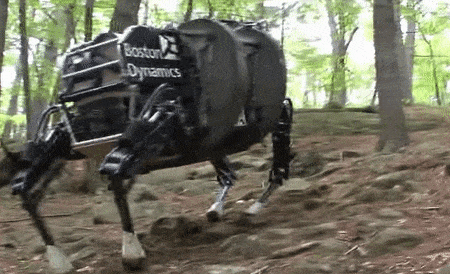 再过一年,它又学会了伸长脖子来搬东西,不过官方说,那其实是一条“胳膊”: