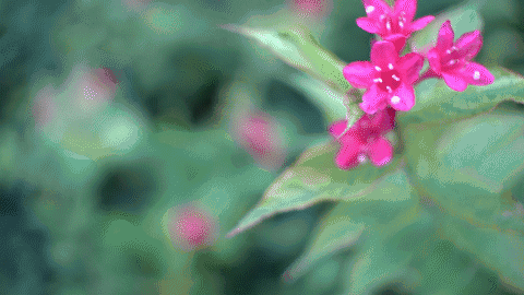 逐渐缩小光圈