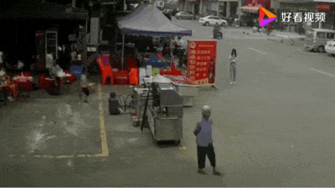 老人被狗绳绊倒身亡也许养狗需要用科技来改造下了 老人被狗绳绊倒身亡也许养狗需要用科技来改造下了