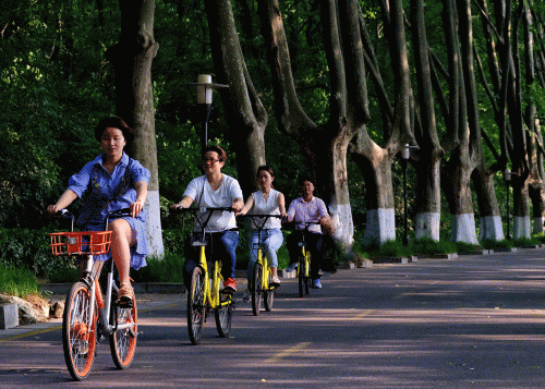 南京出台共享单车新政：车辆需上牌买保险