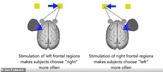 研究人员发现当超声波瞄准大脑左半球额前眼场时，猴子在试验中可能选择电脑屏幕右侧的目标，同样地，刺激大脑右半球的额前眼场时，猴子可能选择电脑屏幕左侧的目标。