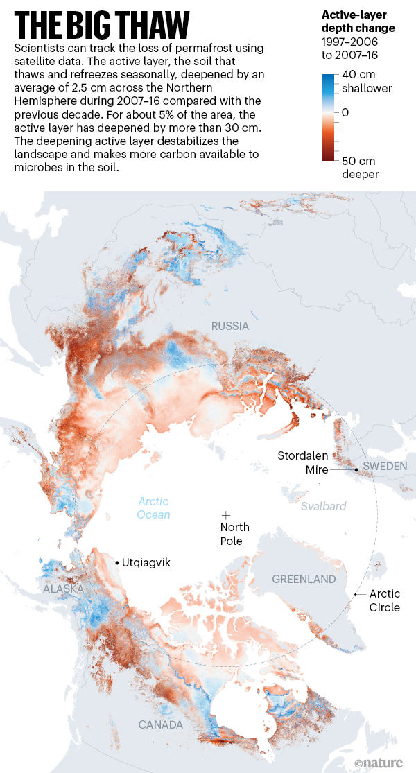 科学家通过卫星数据监测永久冻土层的丧失情况。活跃层的土壤会发生季节性的融解和冻结，在2007年至2016年，北半球永冻土的活跃层平均加深了2.5厘米。在大约5%的区域，活跃层深度增加了超过30厘米