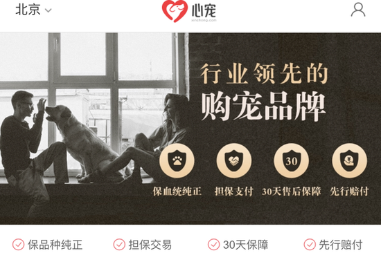 58同城旗下58心宠发布全新战略 未来将面向上游养殖端