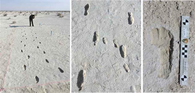 图为一段11.5万至1.3万年前留下的人类足迹化石的一部分。可以看出，留下脚印的人走了个来回。中间的照片中包含一名儿童留下的足迹。
