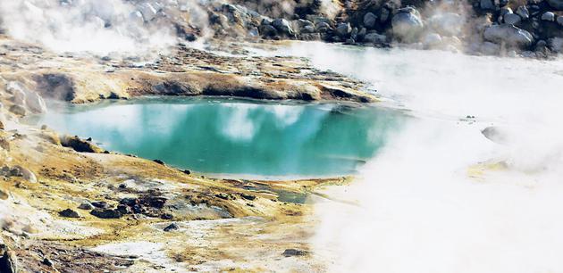 “毒温泉”孕育早期生命，这是地外生命探索重要依据！生物地球