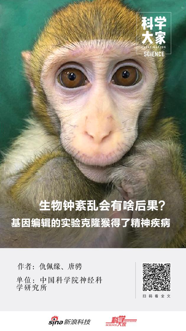 生物钟紊乱有啥后果？基因编辑的克隆猴得了精神疾病生物钟敲除克隆