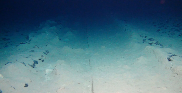 在远离陆地的荒芜深海，采矿试验留下的痕迹几十年后依然存在。上图拍摄于2015年，当时这道挖痕已有37年历史