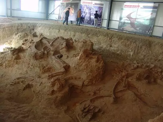 灵武恐龙化石发掘现场之一 。图片来源：徐星