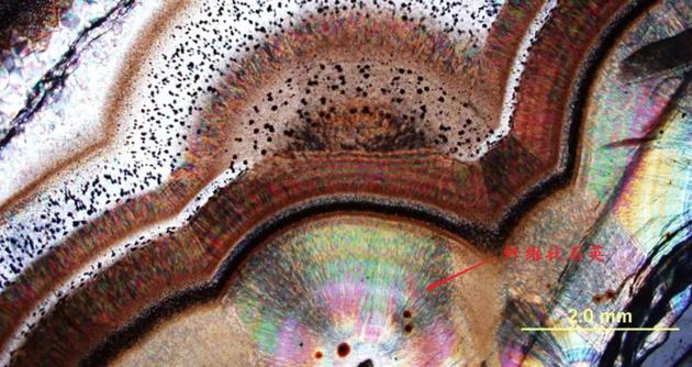 显微镜下，玛瑙中的石英为纤维状  图/uky.edu