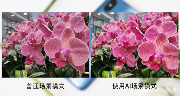 小米8拍摄样张