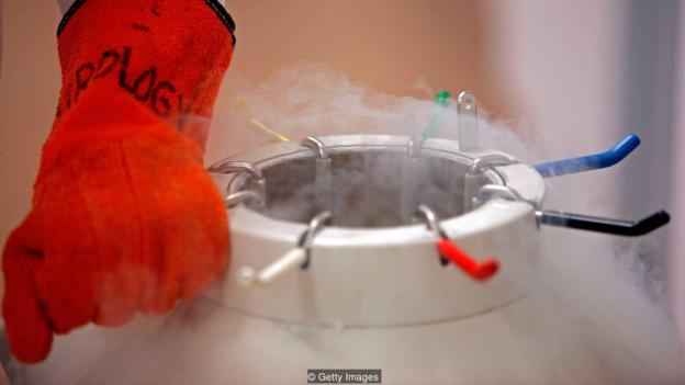 研究人员将胚胎干细胞从深度冷冻中取出并解冻，然后再进行研究