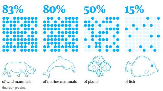 自人类文明兴起至今，已经有83%的野生哺乳动物、80%的海洋哺乳动物、50%的植物和15%的鱼类灭绝