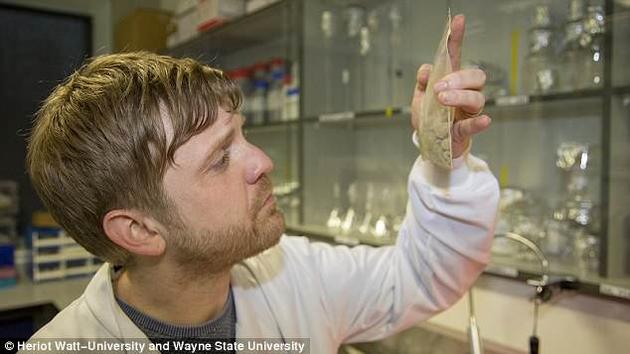 研究者克莱顿·马吉尔正拿着一袋180万年前的昆虫化石样品。研究揭示，早期人类的食物中可能有将近一半是昆虫。