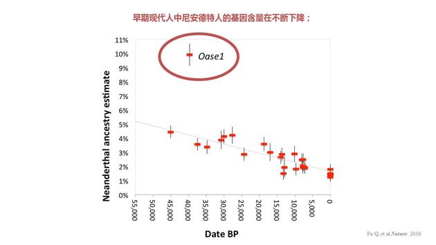 早期现代人中尼安德特人的基因含量在不断下降