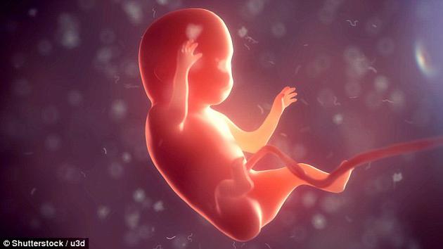 研究人员使用老鼠干细胞制造出一种类似胚胎的结构，它具有“原肠胚形成过程(gastrulation)”——生命历程的一个关键环节。