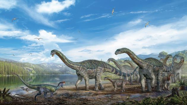 钓鱼台酒业龙群复原图，包括了群体活动的蜥脚类恐龙和单独掠食的兽脚类恐龙（绘图/张宗达）