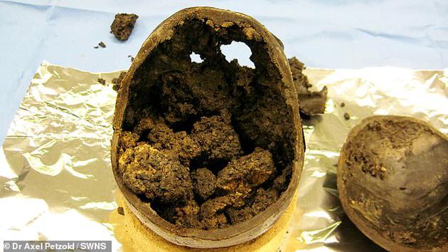 4、这个被称为“赫斯灵顿大脑”的古人类大脑保存非常完好，是2008年考古学家在英国约克郡附近的赫斯灵顿村一处泥坑中发现的。图中黄色部分是“赫斯灵顿大脑”。