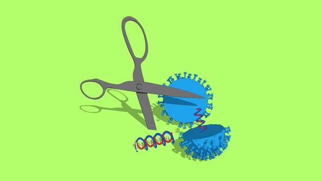 新型武器：Crispr技术将成新冠病毒的“克星”RNA流感新冠肺炎