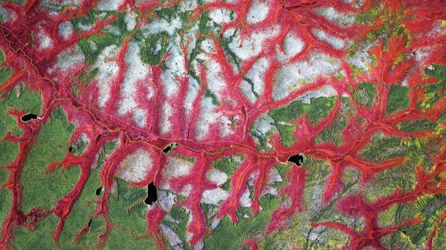 俄罗斯雅库特，地衣和苔藓与多年冻土互相交织。不断变暖的北极，只是《Overview Timelapse》中卫星图像捕获到的种种变化之一。