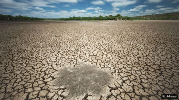 受全球气候变化影响，水荒问题变得日益严峻。