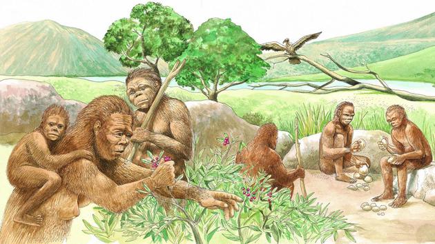 为什么早期人类要离开非洲大陆？|非洲