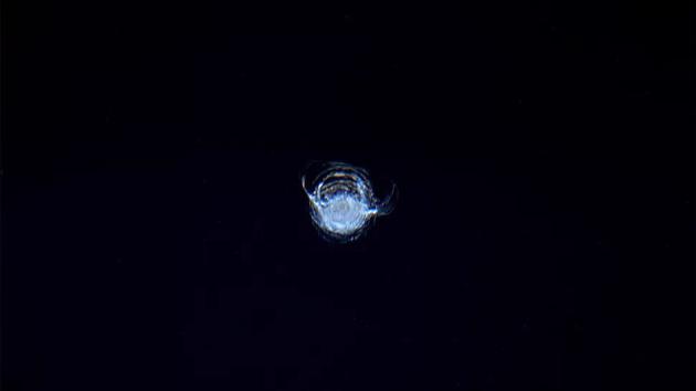 当一小块太空垃圾撞向国际空间站时，欧洲航天局的宇航员蒂姆·皮克拍下了撞击后留下的凿痕。