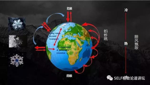有机污染物全球迁移循环路径图