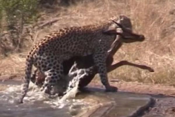 天下足球维埃里-乐鱼app(leyu)官方网站-乐鱼官网