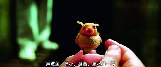 电影《银河系漫游指南》中的声波鱼——巴别鱼(babel fish)
