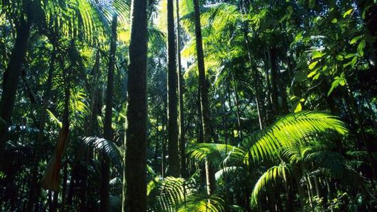 地球究竟能变得多热?温室效应过犹不及|温室效