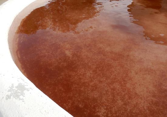 图为西班牙的一处盆地中的泉水被雨水带来的雨生红球藻染成了红色。