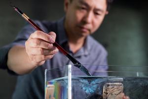 ������������ ƻ���ٰ조������Ӵ˿������