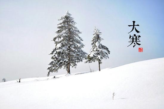 文章配图