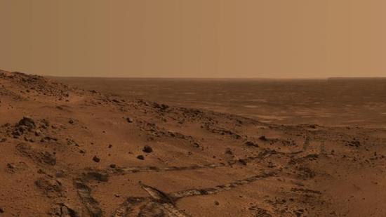 或可存活火星的地球微生物:耐辐射球菌居首|火星|微生物|耐辐射球菌_新浪科技_新浪网