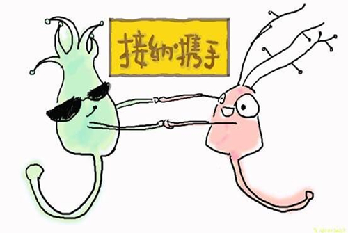 神经元君和他的小伙伴们