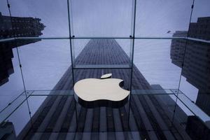 ��ָ�ڰ��������ܷǷ����� ƻ����û��һëǮ