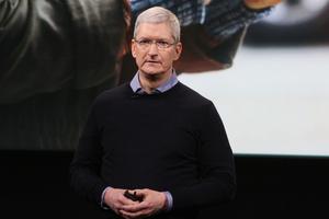 ������꣺����������ƻ�����û�������