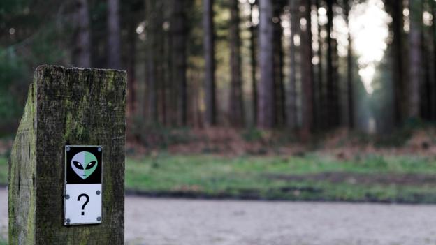 今天,我们可以在“伦德尔沙姆森林”(Rendlesham Forest)公园内的一条“UFO路”来追溯当年的大规模UFO目击事件