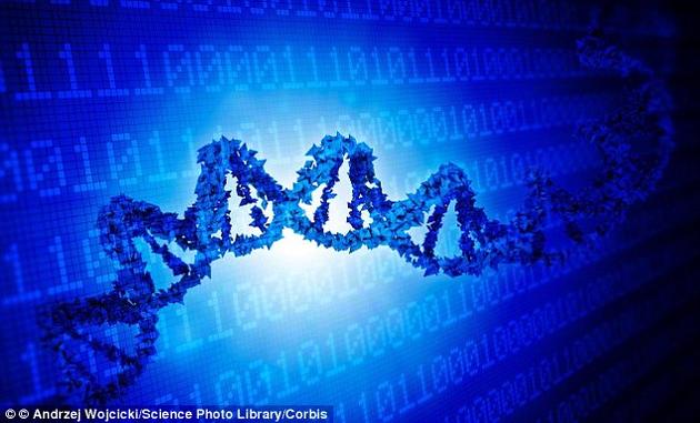 科学家通过计算机编码 黑入 活体细胞改变功能