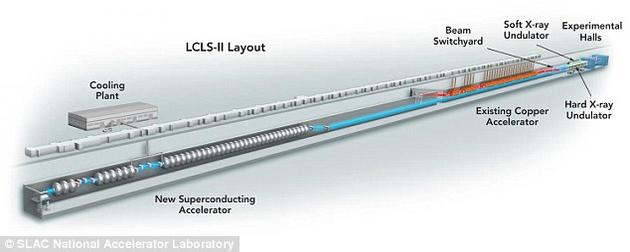 未来的LCLS-II X射线激光器（蓝色所示）将被放置在现有的LCLS加速器（红色所示）旁边。LCLS占据了斯坦福直线加速器中心加速隧道的最后三分之一。安装LCLS-II时，原铜加速器的前三分之一将被替换成超导加速器，每秒能产生一百万次X射线脉冲。