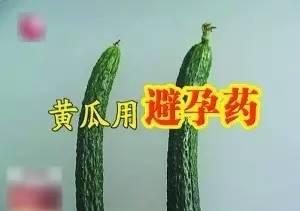 黄瓜避孕药:流言揭秘:带花的新鲜黄瓜泡过避孕药?