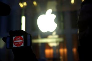 ��ƻ���뱦����ķ��̸�� ƻ��������Ҫ�Լ�����