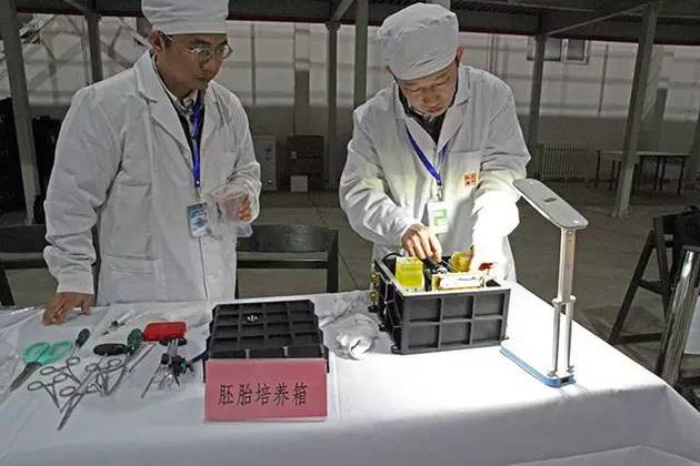 科研人员将胚胎实验装置从实践十号卫星回收舱内取出。图片来源：本文作者