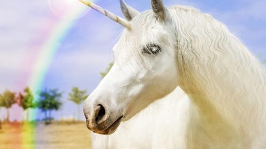 独角兽创业公司的风光与辛酸|独角兽|高估值|可