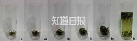 (不同量的绿茶(以龙井为例)，杯高400px。右1为3g绿茶泡开后的样子。)
