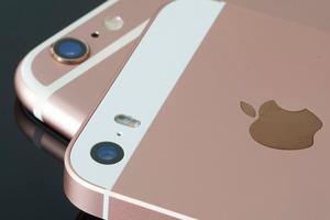 ����ɽ�� ƻ������̳����̶