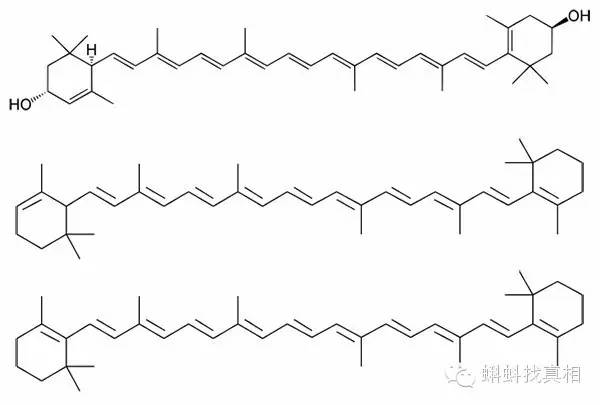 叶黄素(上)、α-胡萝卜素(中)和β-胡萝卜素(下)