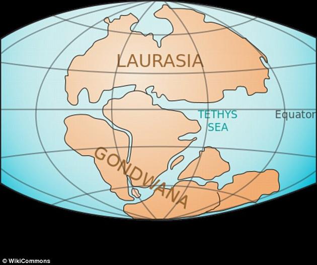超过1.8亿年前，地球上的陆地分为两个超级大陆。其中的一个超级大陆名为“冈瓦纳”，它后来分裂为南极洲、南美洲、非洲、印度次大陆和澳大利亚大陆